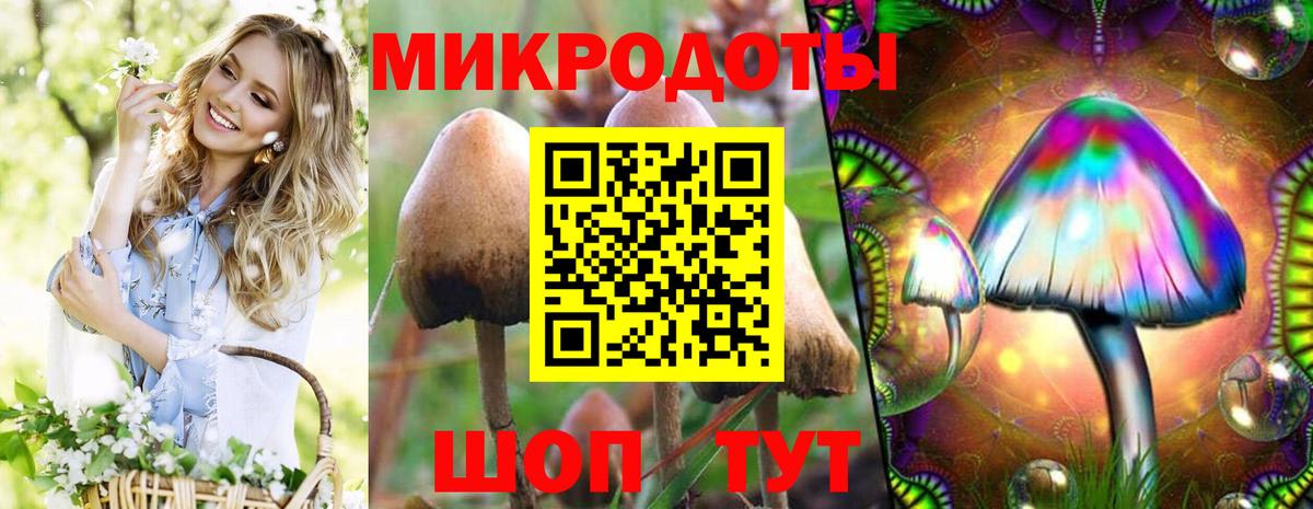 Галлюциногенные грибы GOLDEN TEACHER  цены   Вход с VPN  Рязань  Галлюциногенные грибы Psilocybine cubensis 